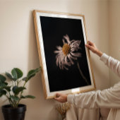 Serene daisy bloem stilleven foto muur kunst poster
