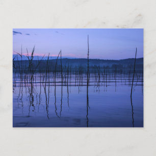 Serene en misty Lake na zwaar briefkaart