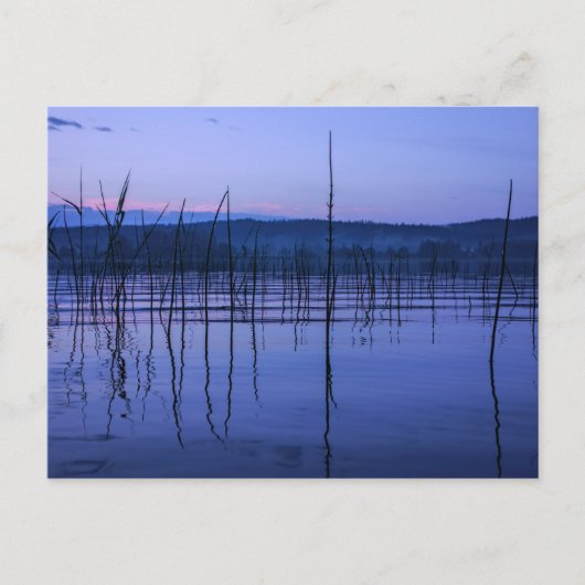 Serene en misty Lake na zwaar briefkaart (Voorkant)