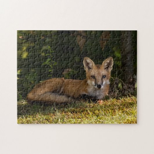 Serene Fox Legpuzzel (Horizontaal)