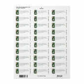 Serene Groen Gemarmerde Elegantie Etiket (Full Sheet)