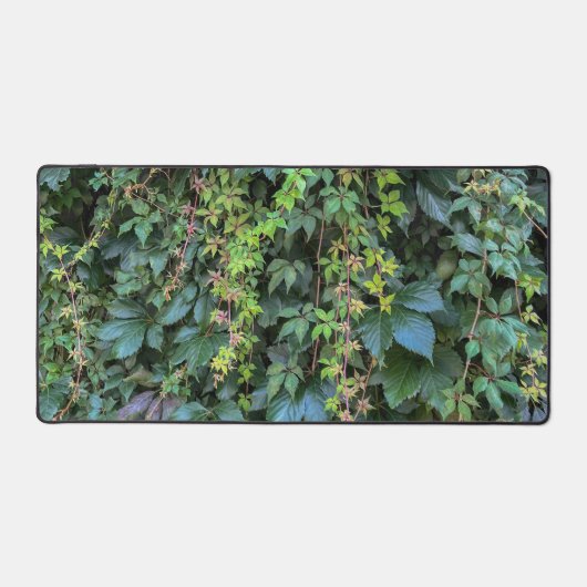 Serene Groene Ivy Wall Hanging Vines Plant Bladere Bureaumat (Voorkant)
