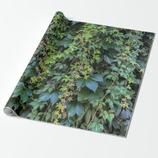 Serene Groene Ivy Wall Hanging Vines Plant Bladere Cadeaupapier
