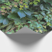Serene Groene Ivy Wall Hanging Vines Plant Bladere Cadeaupapier (Hoek)