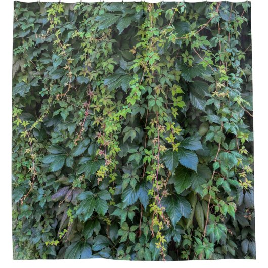 Serene Groene Ivy Wall Hanging Vines Plant Bladere Douchegordijn (Voorkant)