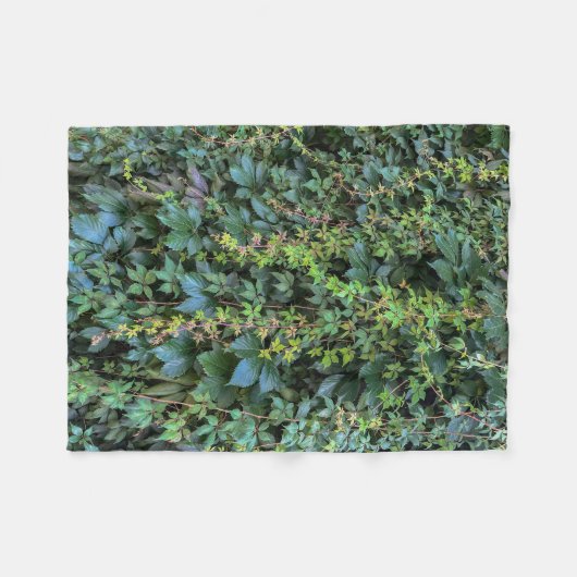 Serene Groene Ivy Wall Hanging Vines Plant Bladere Fleece Deken (Voorkant (Horizontaal))