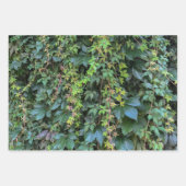 Serene Groene Ivy Wall Hanging Vines Plant Bladere Inpakpapier Vel (Voorkant 2)