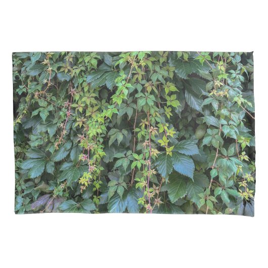 Serene Groene Ivy Wall Hanging Vines Plant Bladere Kussensloop (Voorkant)