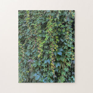 Serene Groene Ivy Wall Hanging Vines Plant Bladere Legpuzzel