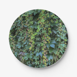Serene Groene Ivy Wall Hanging Vines Plant Bladere Papieren Bordje