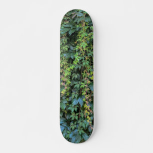 Serene Groene Ivy Wall Hanging Vines Plant Bladere Persoonlijk Skateboard