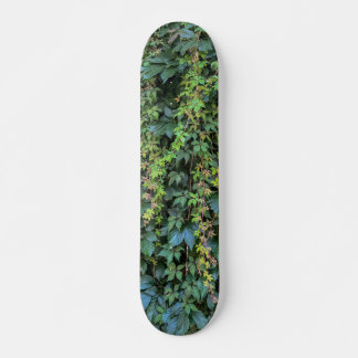 Serene Groene Ivy Wall Hanging Vines Plant Bladere Persoonlijk Skateboard