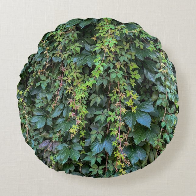 Serene Groene Ivy Wall Hanging Vines Plant Bladere Rond Kussen (Voorkant)