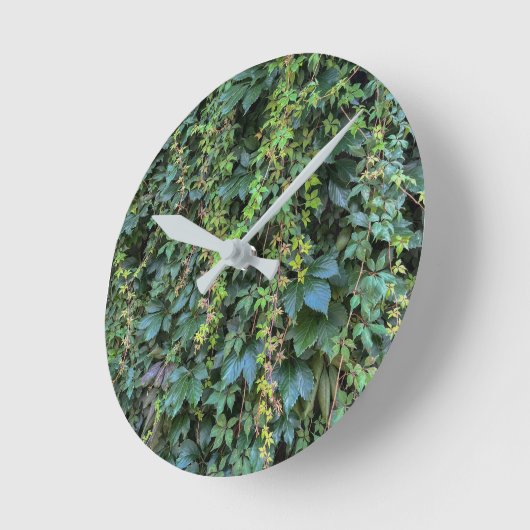 Serene Groene Ivy Wall Hanging Vines Plant Bladere Ronde Klok (Hoek)