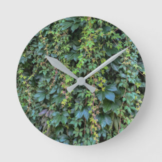 Serene Groene Ivy Wall Hanging Vines Plant Bladere Ronde Klok