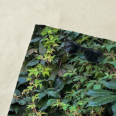 Serene Groene Ivy Wall Hanging Vines Plant Bladere Strandlaken (In situ)