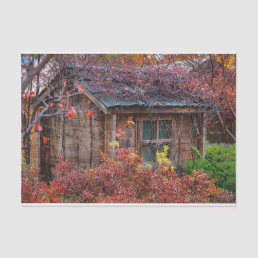 Serene Herfst Cabin Omringd met Bloemen Tissuepapier (Voorkant)