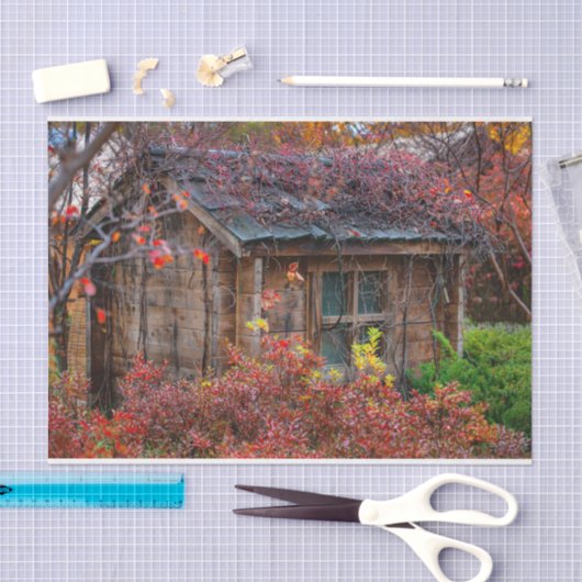 Serene Herfst Cabin Omringd met Bloemen Tissuepapier (Craft)