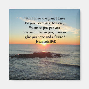 SERENE JEREMIAH 29:11 SUNRISE MAGNEET
