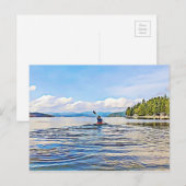 Serene Lake Kayak Canoe Photo Briefkaart (Voorkant / Achterkant)