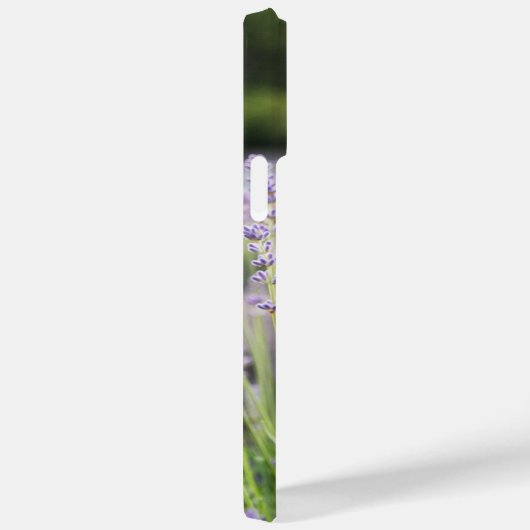 Serene Lavender Field Case-Mate iPhone Case (Achterkant / Rechts)