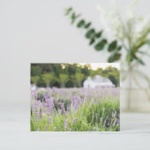 Serene Lavender Fields Briefkaart (Staand voorkant)