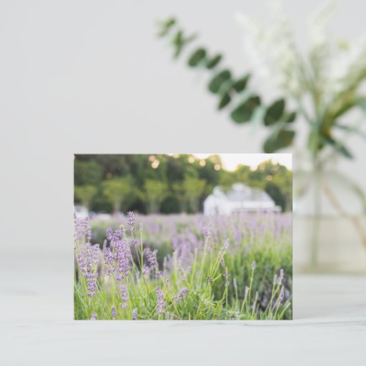 Serene Lavender Fields Briefkaart (Staand voorkant)
