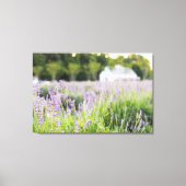 Serene Lavender Fields Canvas Afdruk (Voorkant)