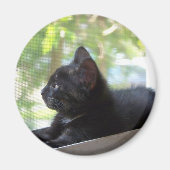 Serene Magneet (Voorkant)