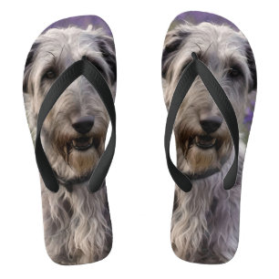Serene Majesteit: Wolfshond Zittend in een Paarse  Teenslippers