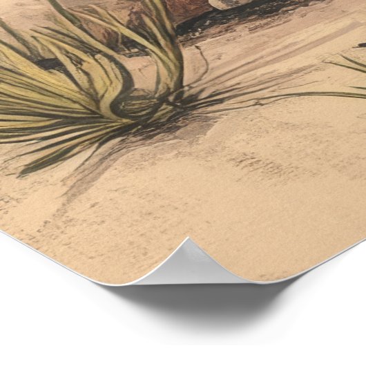 Serene Mojave Sunrise: California Desert Art Print (Hoek)