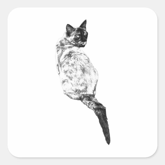 Serene Ontwerp voor Kattenverzorging Vierkante Sticker (Voorkant)
