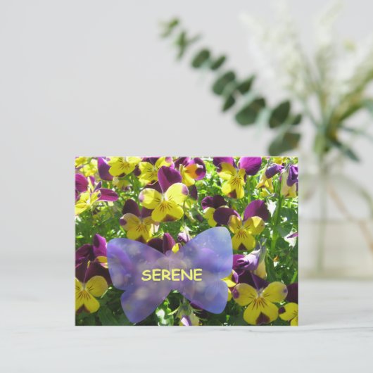 Serene Pansy Briefkaart (Staand voorkant)