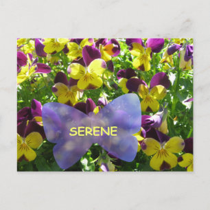 Serene Pansy Briefkaart