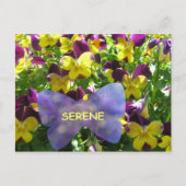 Serene Pansy Briefkaart (Voorkant)