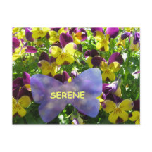 Serene Pansy Briefkaart