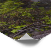 Serene Poster (Hoek)