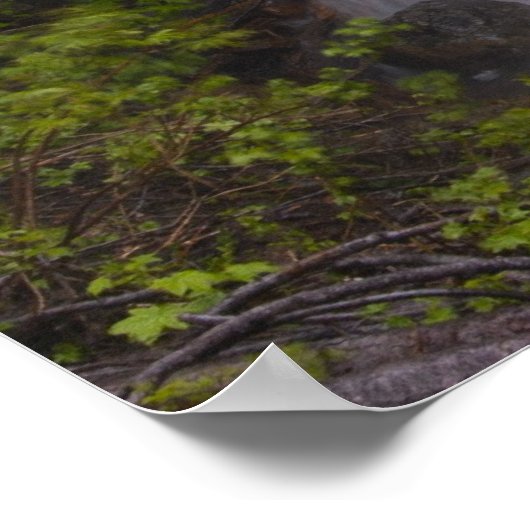 Serene Poster (Hoek)