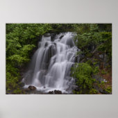 Serene Poster (Voorkant)