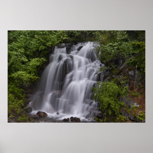 Serene Poster (Voorkant)