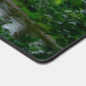 Serene River Elwy and St. Asaph Bridge Bureaumat (Hoek)