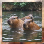 "Serene rivier: capybaras zwemmen met de stroom me Raamsticker (Vel 2)