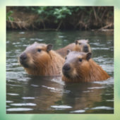 "Serene rivier: capybaras zwemmen met de stroom me Raamsticker (Vel 3)