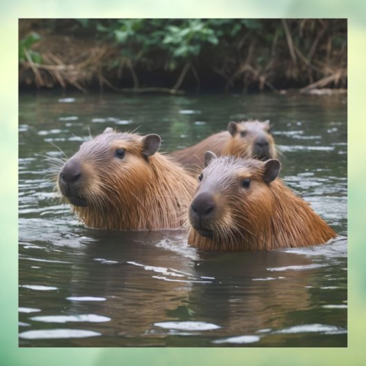 "Serene rivier: capybaras zwemmen met de stroom me Raamsticker (Vel 3)