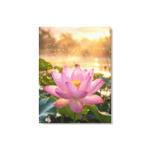Serene Roze Lotusbloem Gouden Uur Canvas Muur A