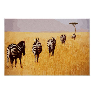 Serene Safari - Zebra's in de Gouden Graslanden Perfect Poster
