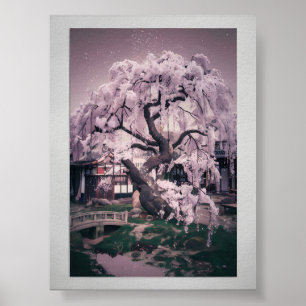 Serene Sakura Tree Poster