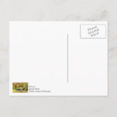 Serene scène bij Dogwood Creek Bedankkaart Briefkaart (Achterkant)