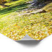 Serene Scene op Dogwood Creek Poster (Hoek)