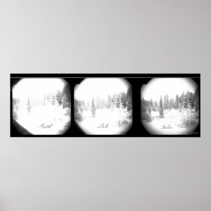 Serene Sierra Snowstorm Poster